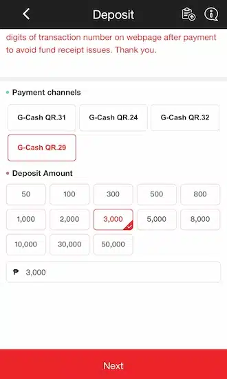 Step 2: enter the payment amount.