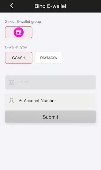 Step 2: Enter your e-wallet account number.